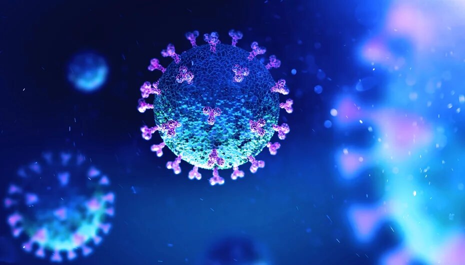 koronavírus lilás